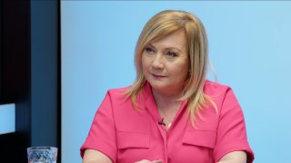 „EET vrátíme hned. Rozpočet nebude vyrovnaný ani za naší vlády, neznáme reálný schodek. Daně nezvýšíme, šedá ekonomika žere desetinu HDP.“ – Alena Schillerová