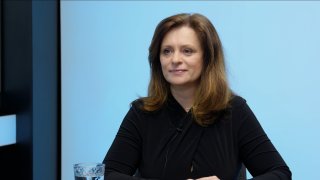 „Jednání bez kamer je špatně, F-35 máme mnohem dražší než ostatní země. Milion za vstup do armády vyvolá zlou krev.“ – Jaroslava Pokorná Jermanová